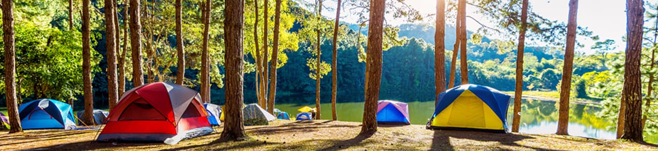 Scouts camping outdoors